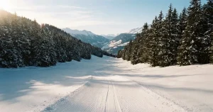 Sportwetten in Österreich 2026: Bewilligung, Wettgebühr & Anbieter