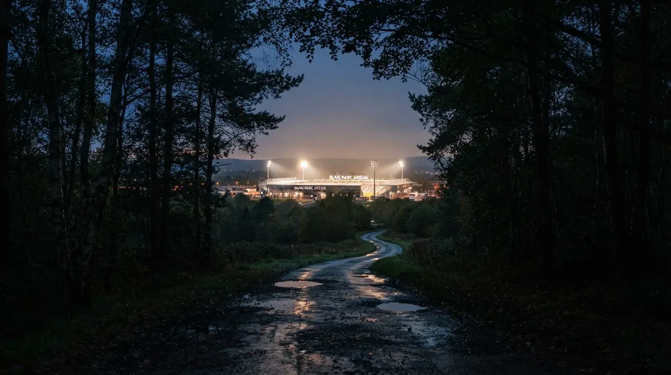 Ein Flutlichtstadion in der Dämmerung aus weiter Ferne, davor ein Wald und eine leere Straße.